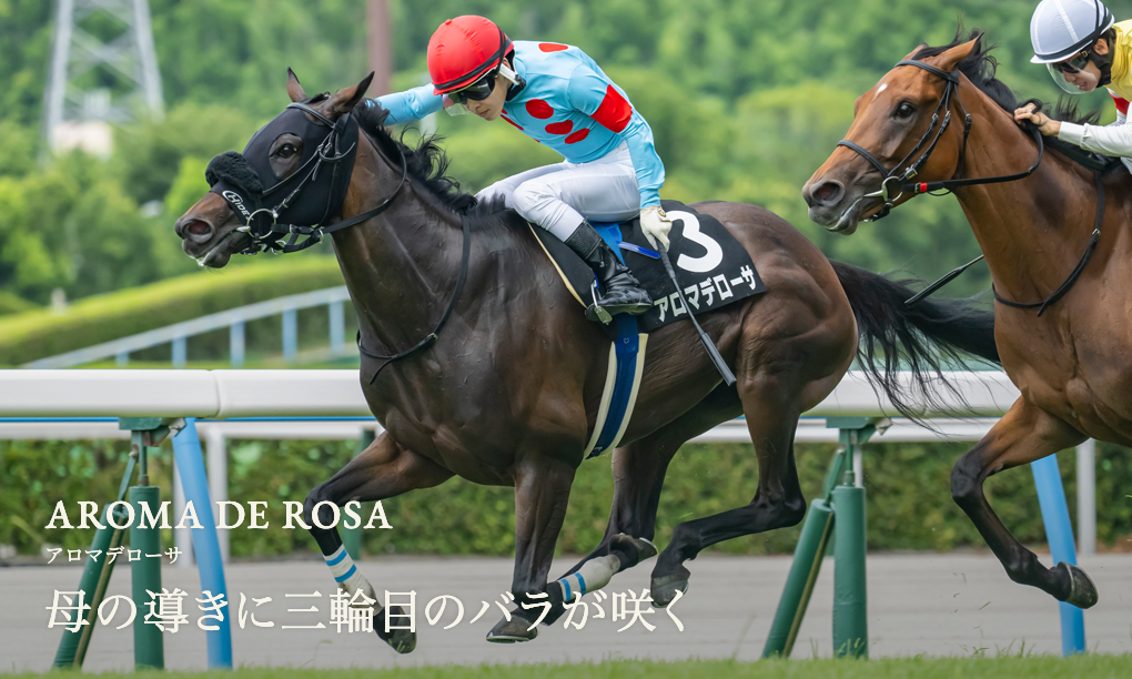 エルメス カシミアシルク ホースクラブ♡HORSE CLUB エルメス カレジェアン HORSE CLUB スカーフ カシミヤ×シルク