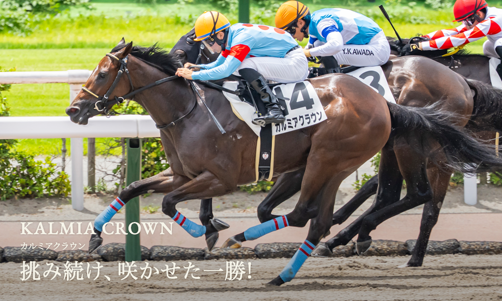 エルメス カシミアシルク ホースクラブ♡HORSE CLUB シルク・ホースクラブ公式ウェブサイト｜Silk Horse Club