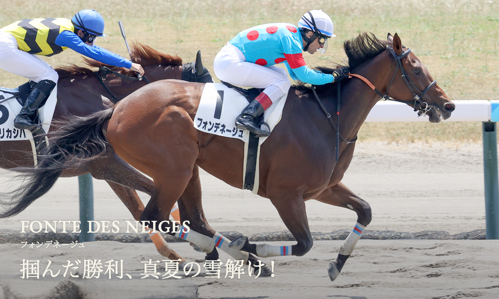 エルメス カシミアシルク ホースクラブ♡HORSE CLUB エルメス カシミアシルク ホースクラブ♡HORSE CLUB (HERMES