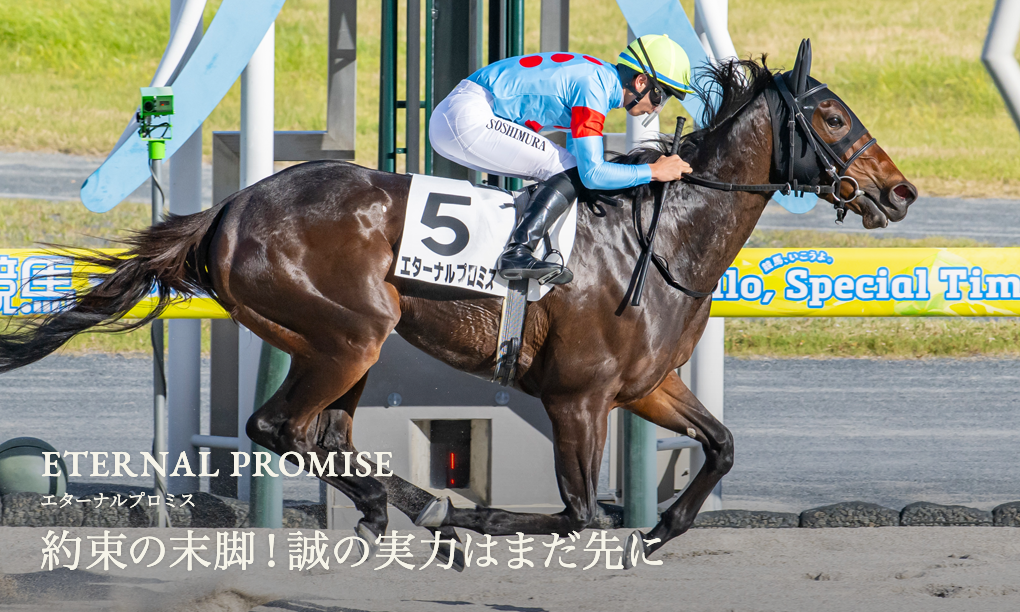 エルメス カシミアシルク ホースクラブ♡HORSE CLUB エルメス カシミアシルク ホースクラブ♡HORSE CLUB (HERMES