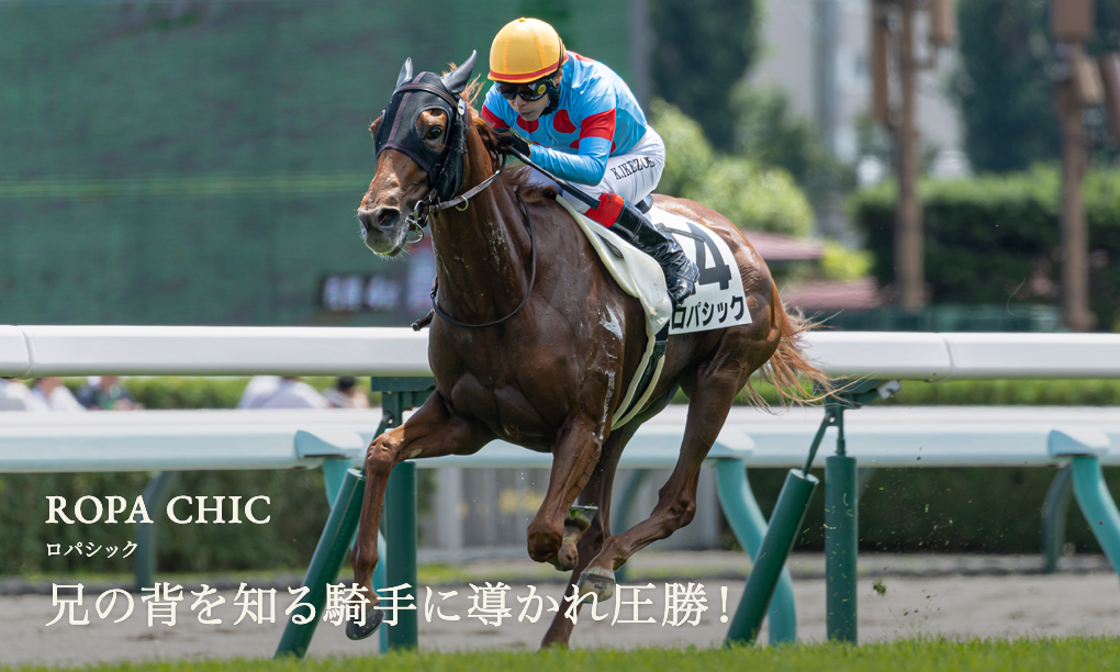 シルク・ホースクラブ公式ウェブサイト｜Silk Horse Club