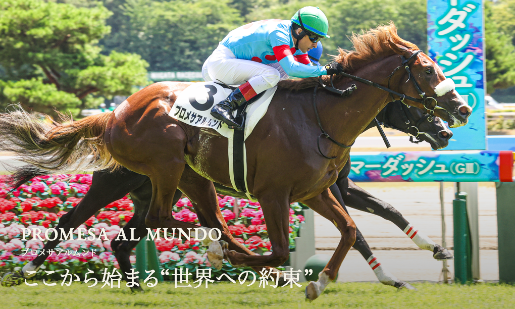 シルク・ホースクラブ公式ウェブサイト｜Silk Horse Club