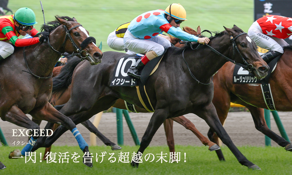 シルク・ホースクラブ公式ウェブサイト｜Silk Horse Club