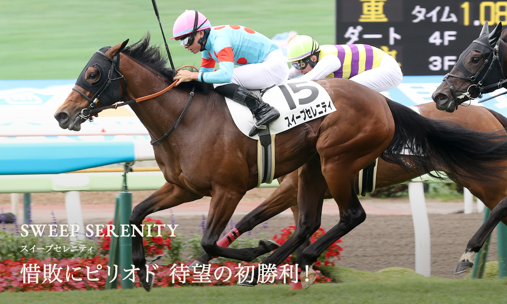シルク・ホースクラブ公式ウェブサイト｜Silk Horse Club