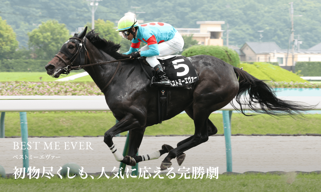 シルク・ホースクラブ公式ウェブサイト｜Silk Horse Club