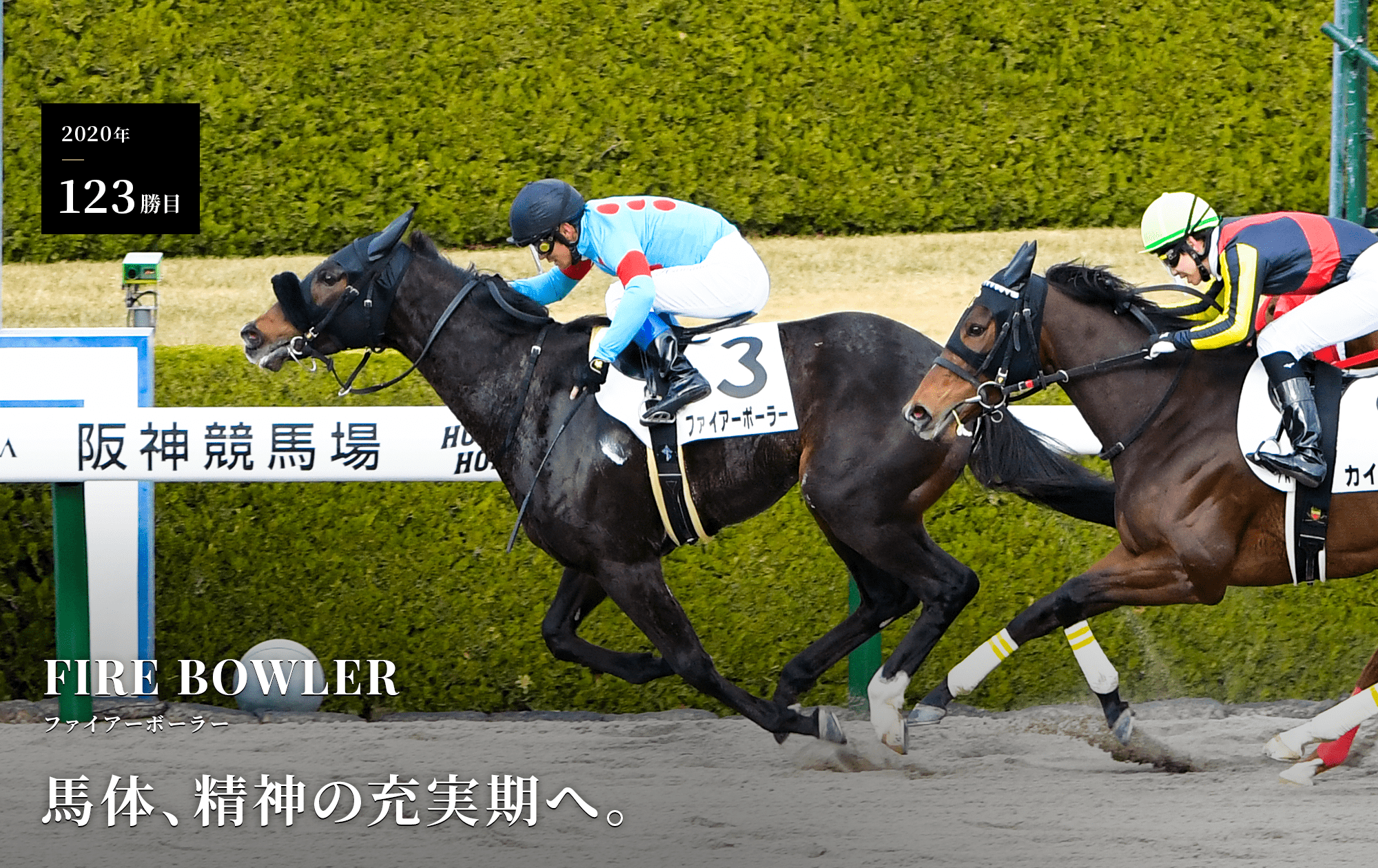 100以上 競馬 壁紙 無料 Hd壁紙画像