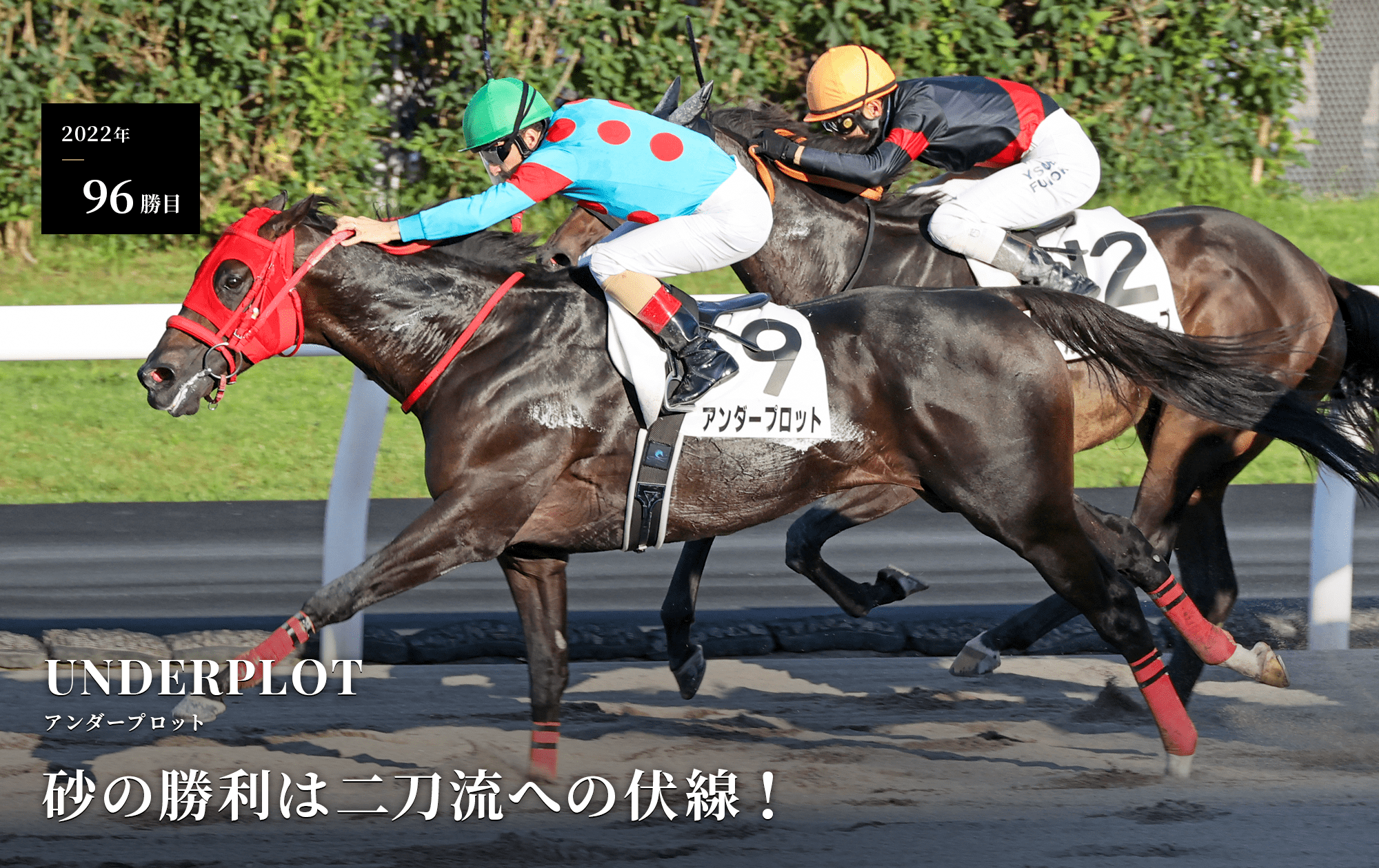 お見舞い 競馬グッズ シルクホースクラブ 会報 00年 12冊 No 57 No 68 シルクプリマドンナ その他 Www Daiforce Com Br お見舞い 競馬グッズ シルクホースクラブ 会報 00年 12冊 No 57 No 68 シルクプリマドンナ その他 Www Daiforce Com Br