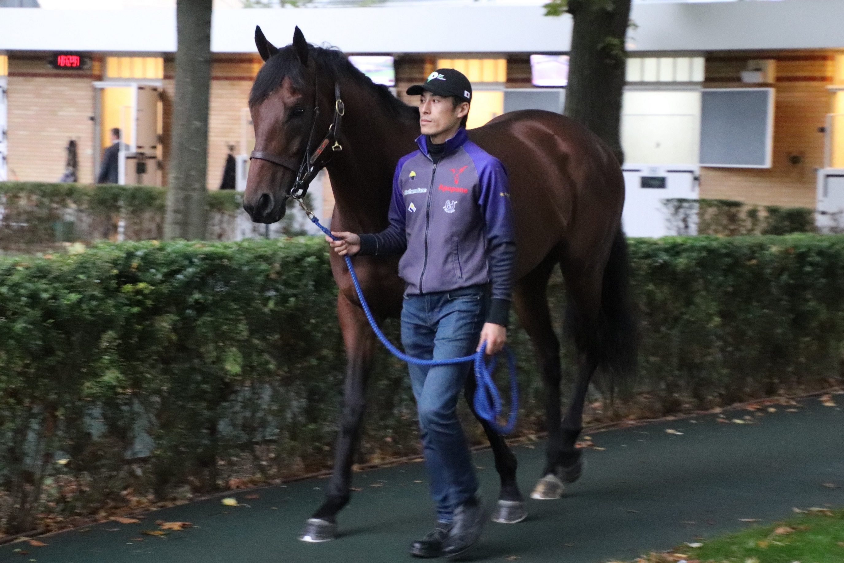 ブラストワンピース 凱旋門賞レポート