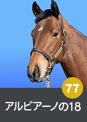 77.アルビアーノの18