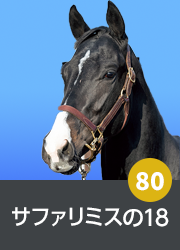 80.サファリミスの18