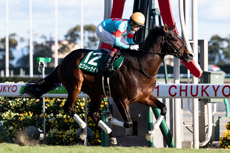 サイン入りゼッケン競馬ピクシーナイト母ピクシーホロウ超レア