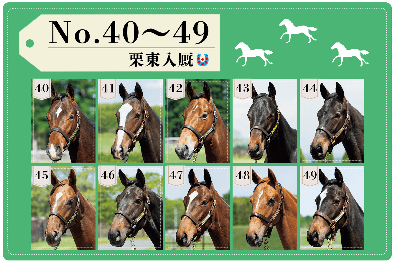 21年度募集馬の競走馬名が決定 Part 2