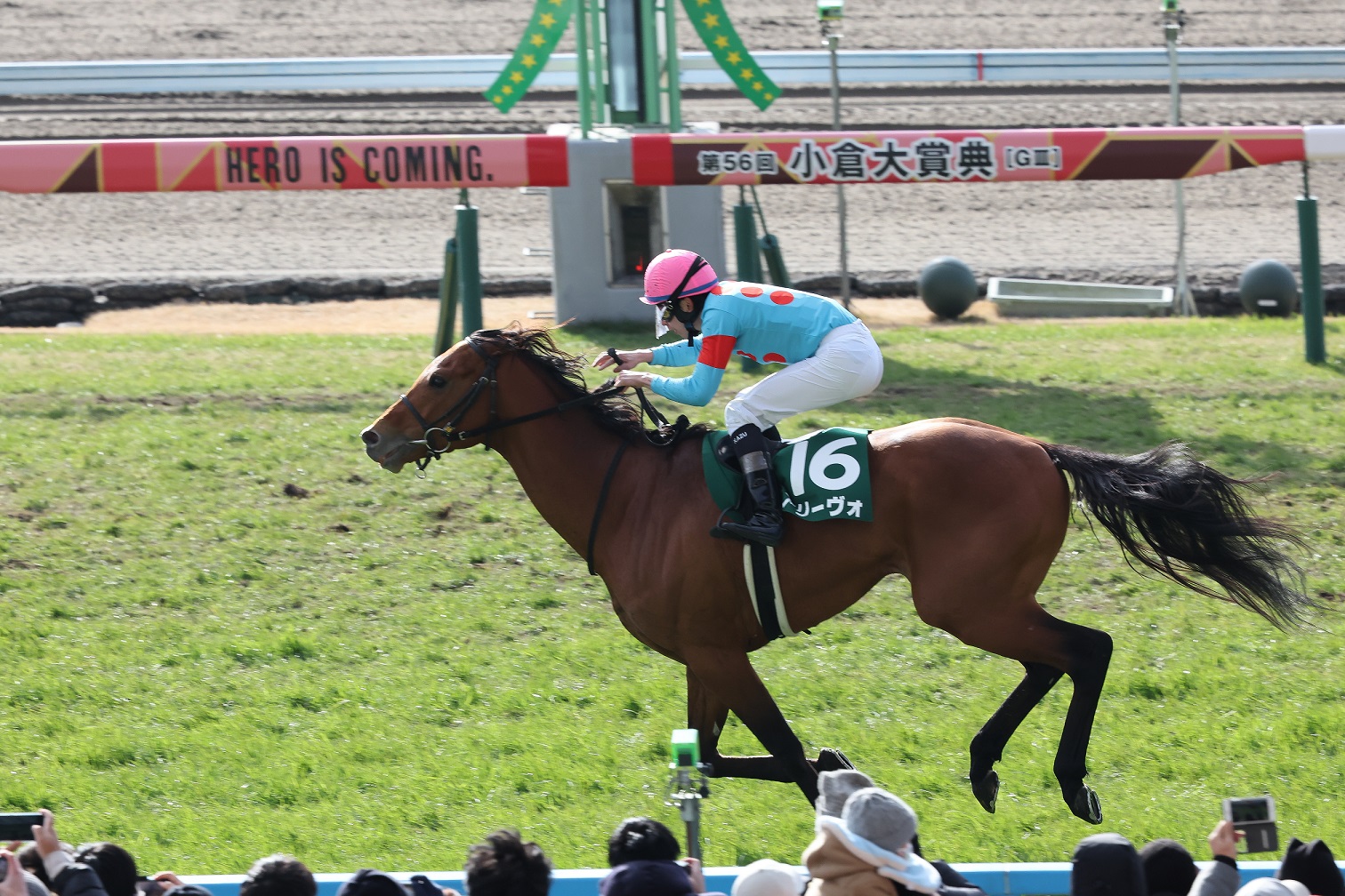 入手困難 競馬グッズ シルクホースクラブ カレンダー2冊 01年 02年 シルクプリマドンナ Lacistitis Es 入手困難 競馬グッズ シルクホースクラブ カレンダー2冊 01年 02年 シルクプリマドンナ Lacistitis Es