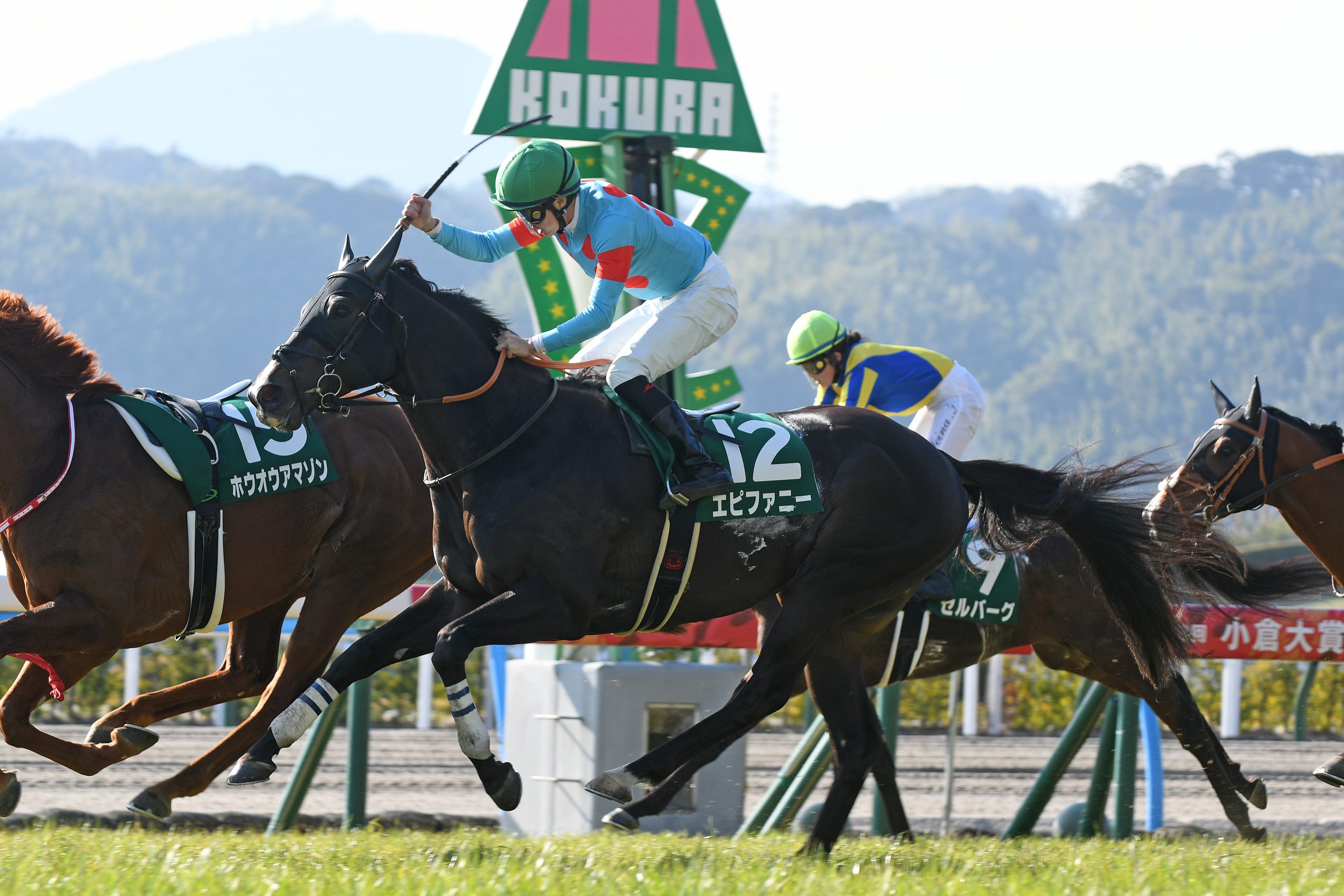 エピファニー 第58回小倉大賞典(GⅢ)優勝! エピファニー 第58回小倉大賞典(GⅢ)優勝!