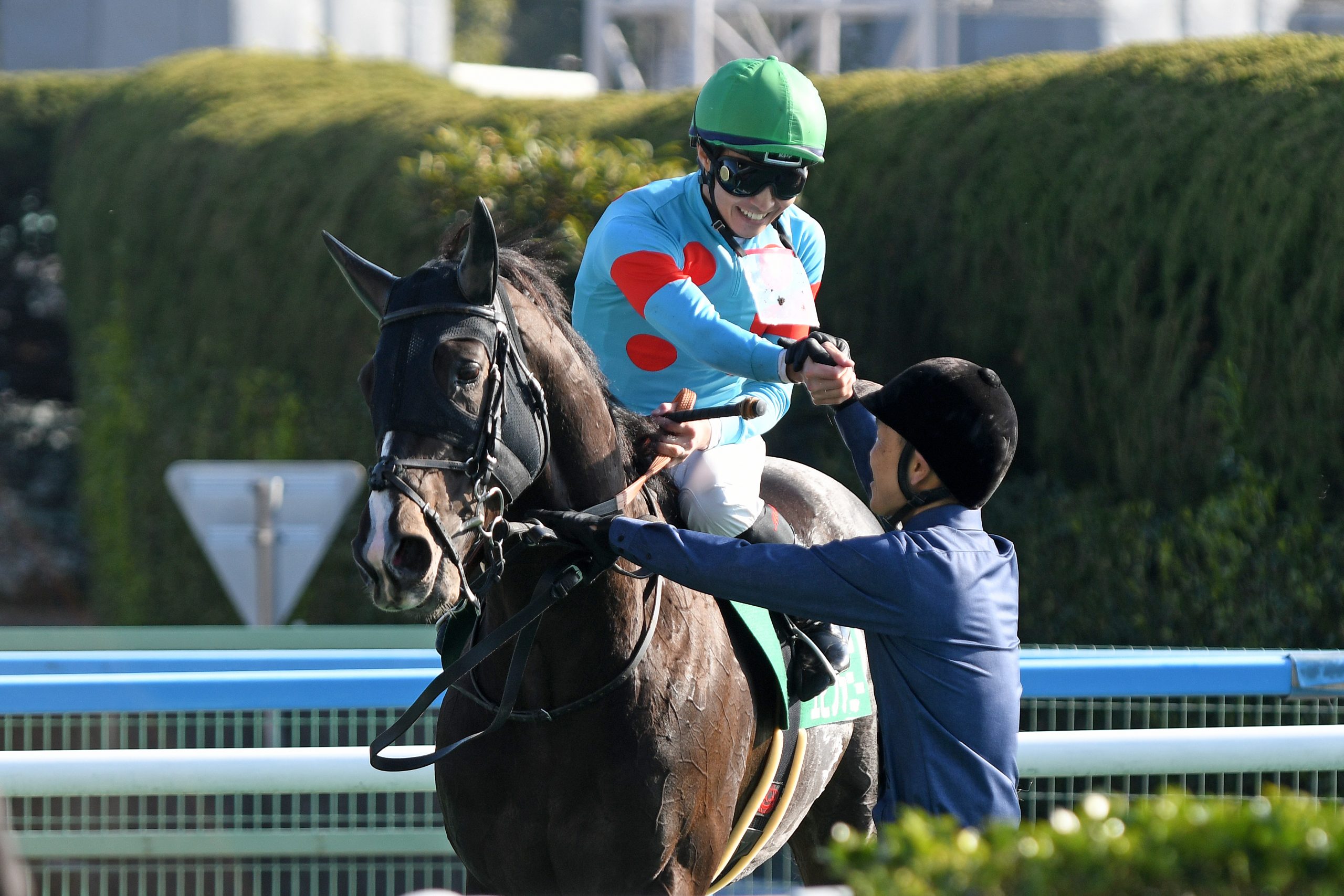 エピファニー 第58回小倉大賞典(GⅢ)優勝! エピファニー 第58回小倉大賞典(GⅢ)優勝!