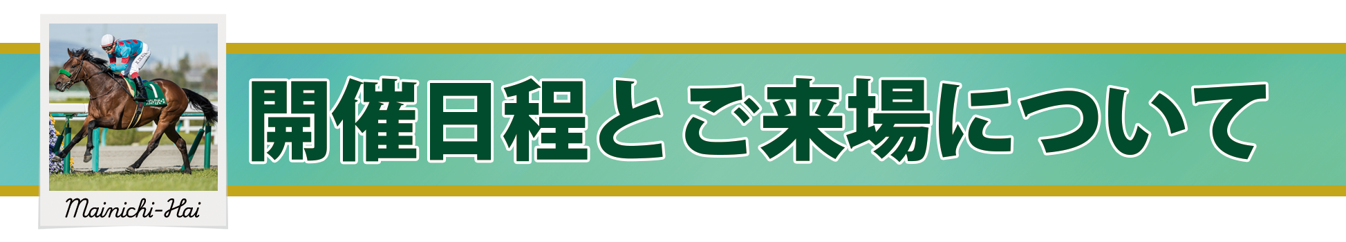 ブラストワンピース展』開催のお知らせ