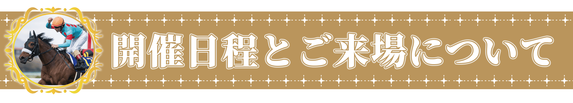 アーモンドアイです。 アーモンドアイC(3勝クラス) 結果・払戻 | 2024年11月24日 東京