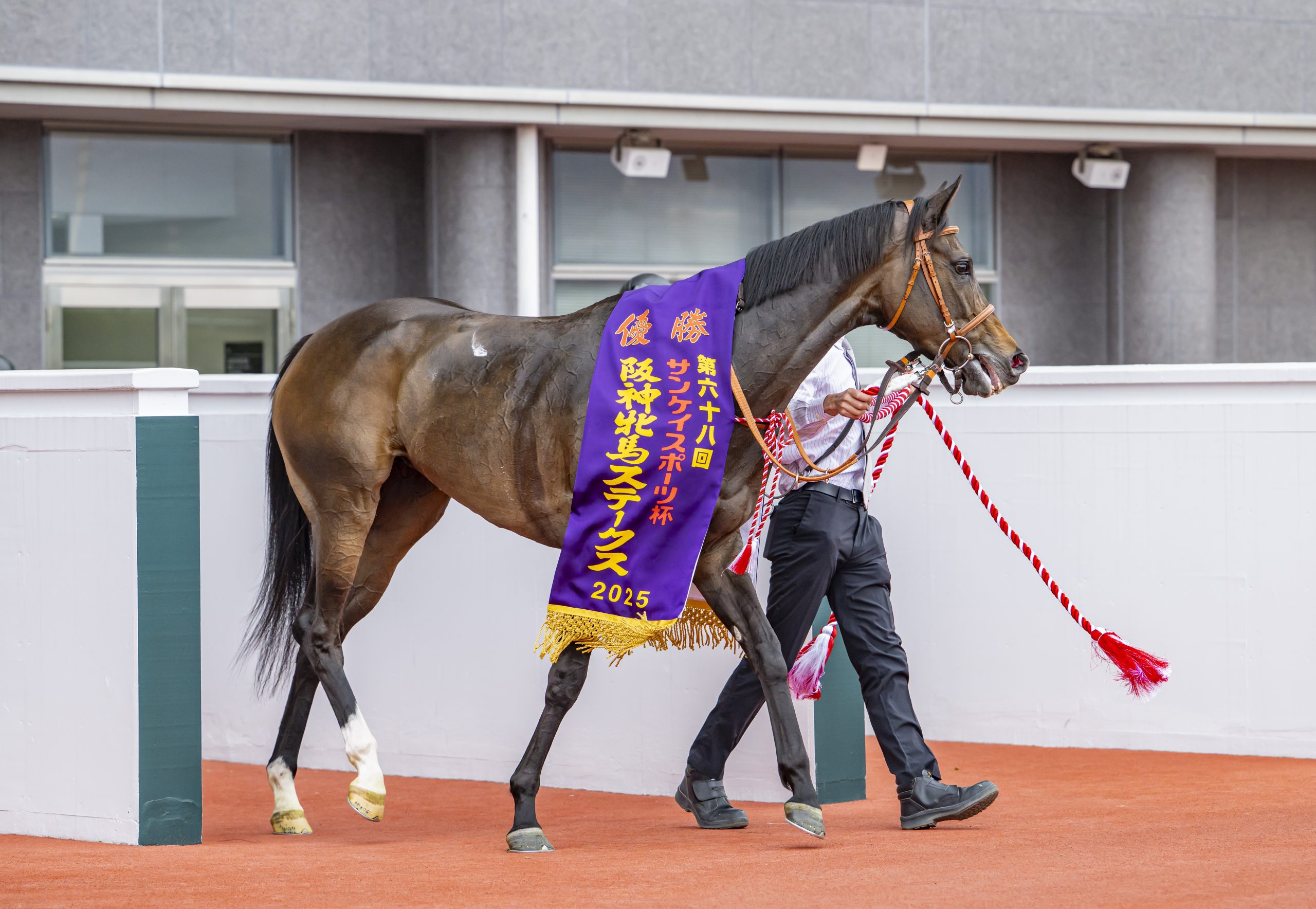 サフィラ第68回阪神牝馬ステークス(GⅡ)優勝！