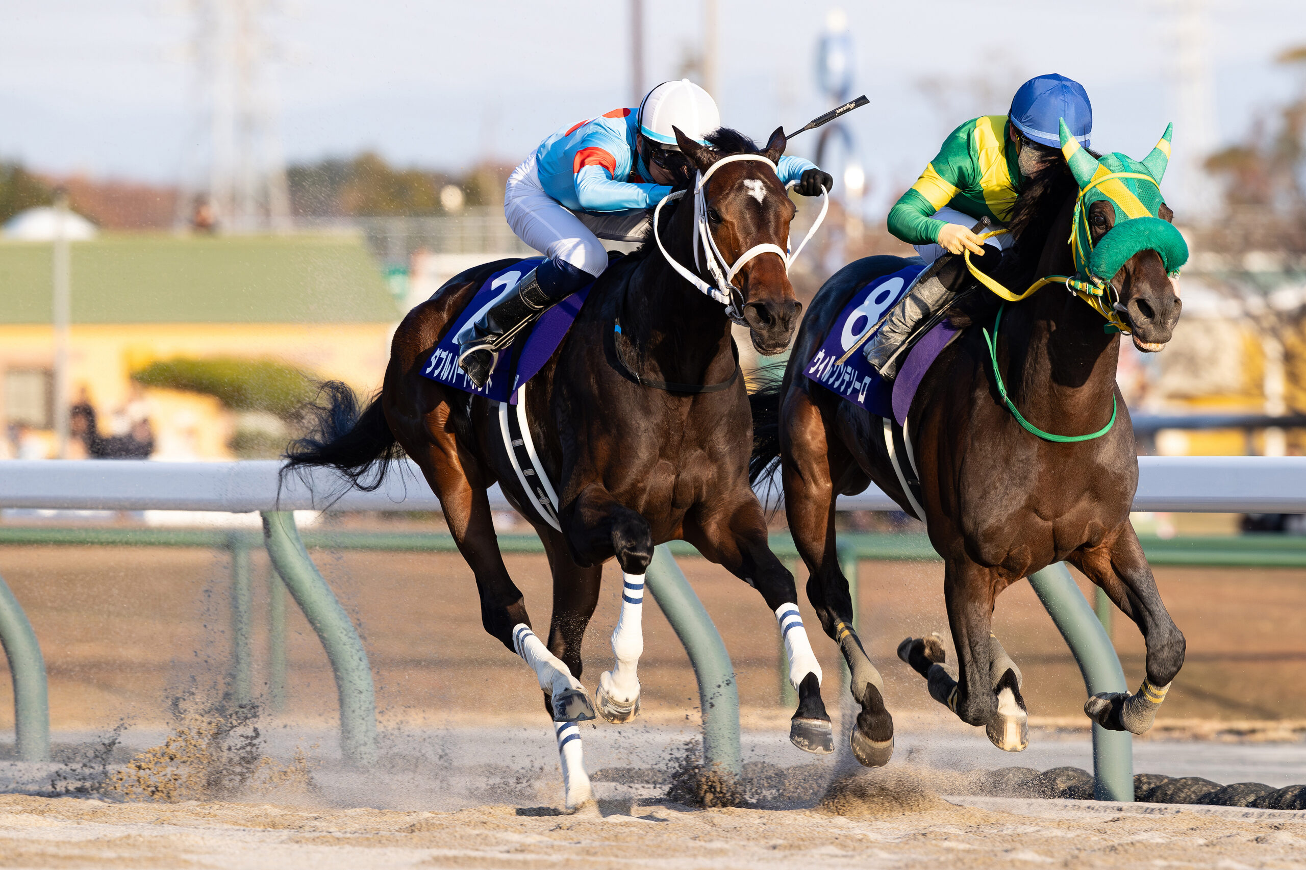 ダブルハートボンド第26回チャンピオンズカップ(GⅠ)優勝！