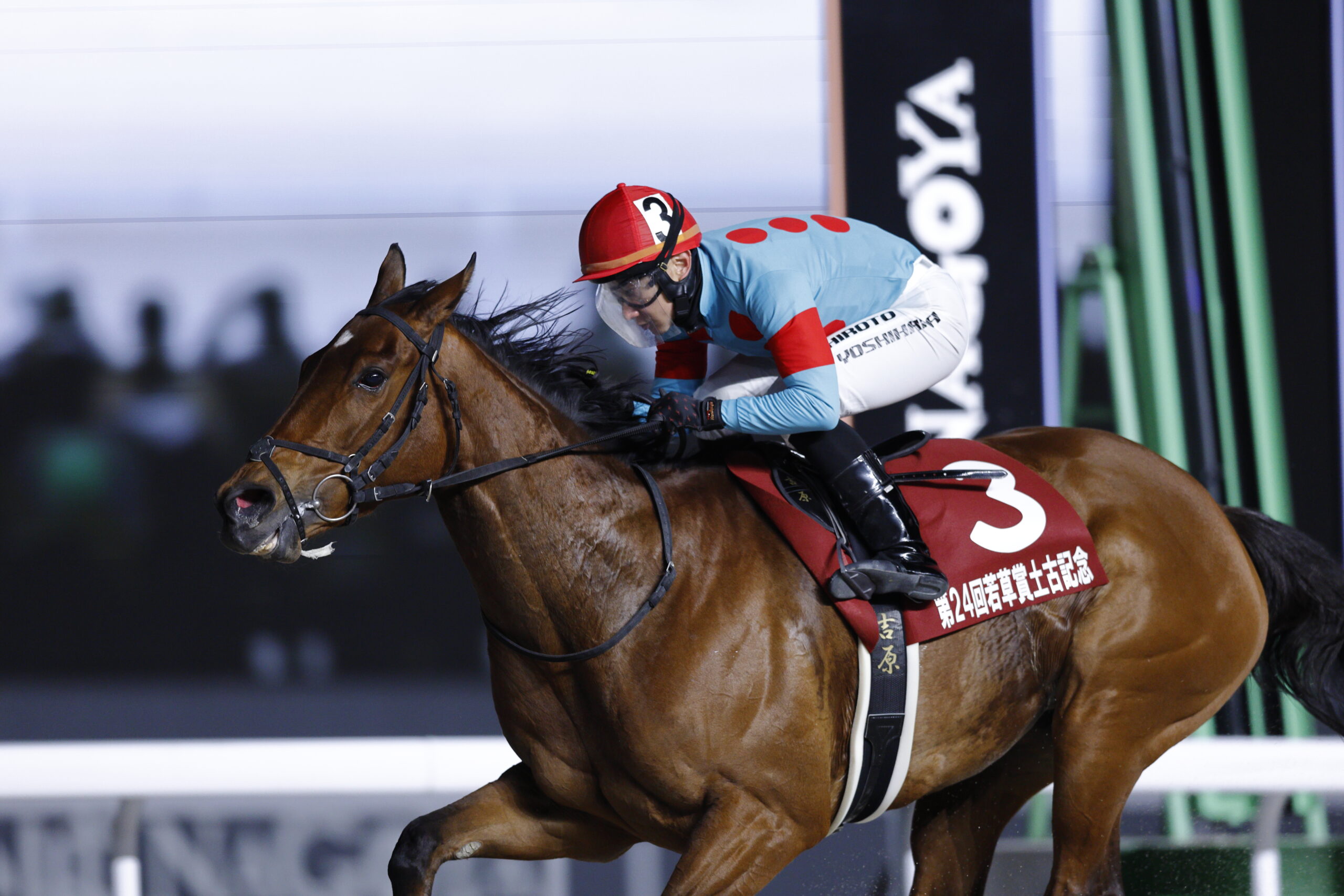 マーブルマウンテン第24回若草賞土古記念(SP1)優勝！