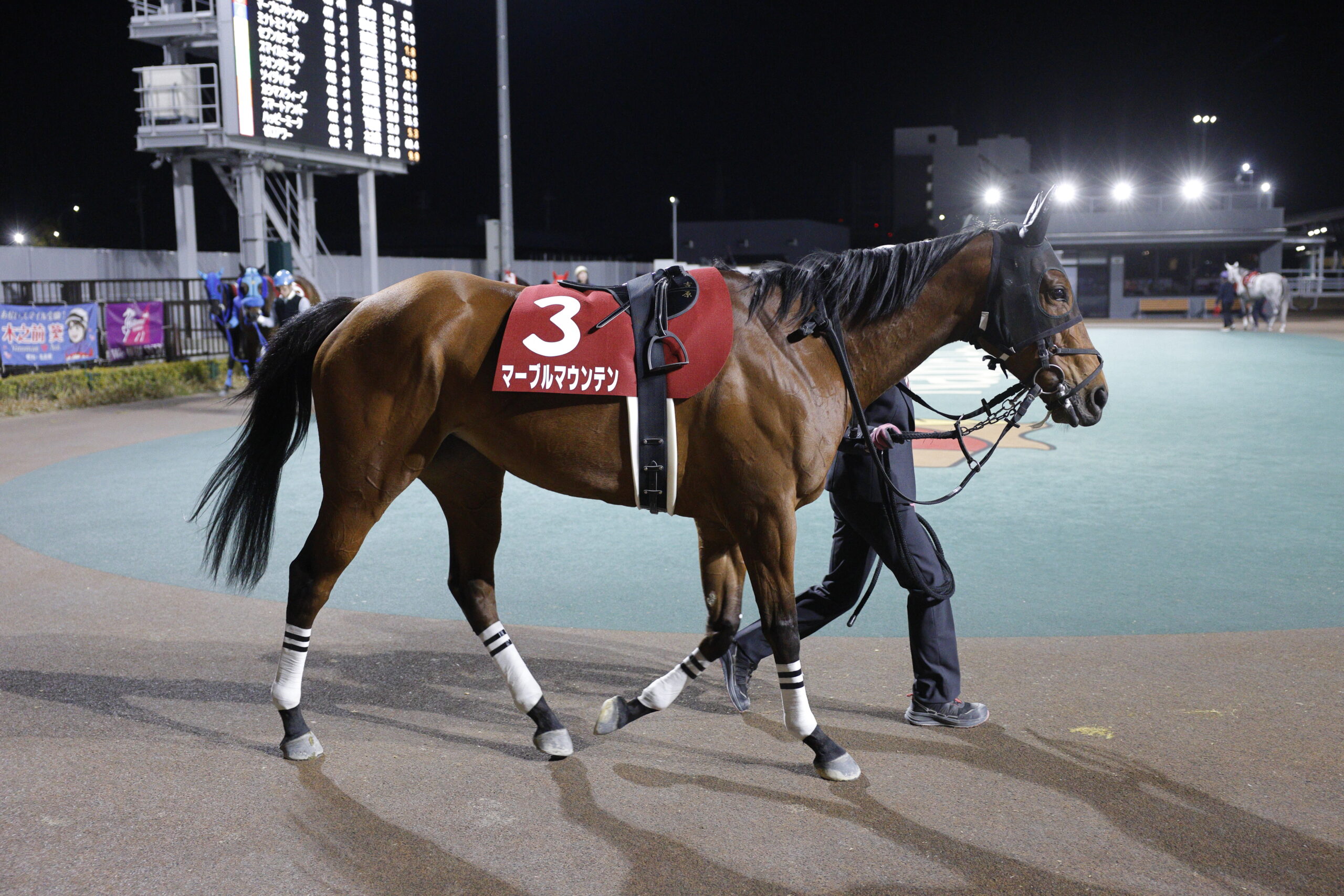 マーブルマウンテン第24回若草賞土古記念(SP1)優勝！