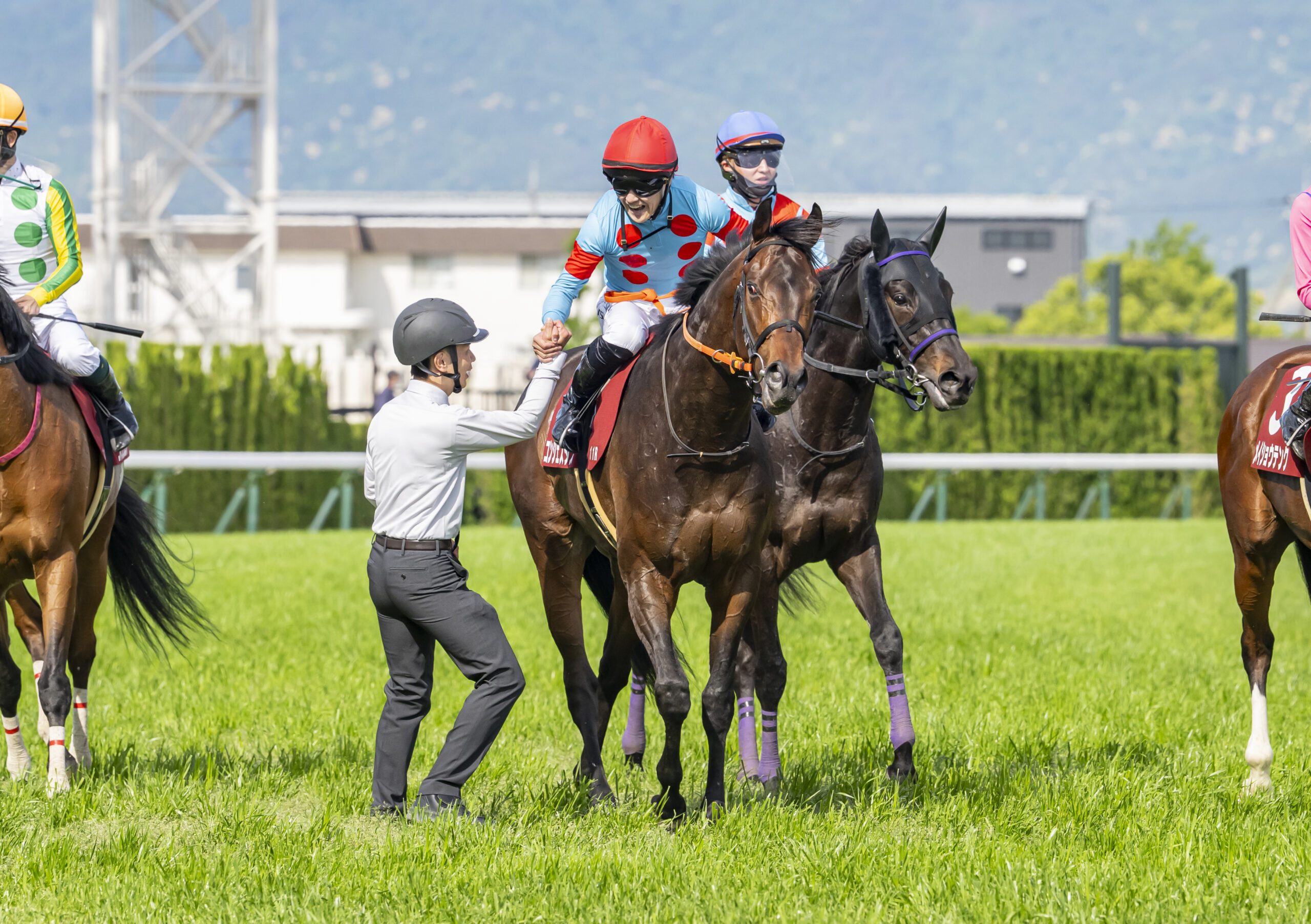 コンジェスタス第74回京都新聞杯(GⅡ)優勝！