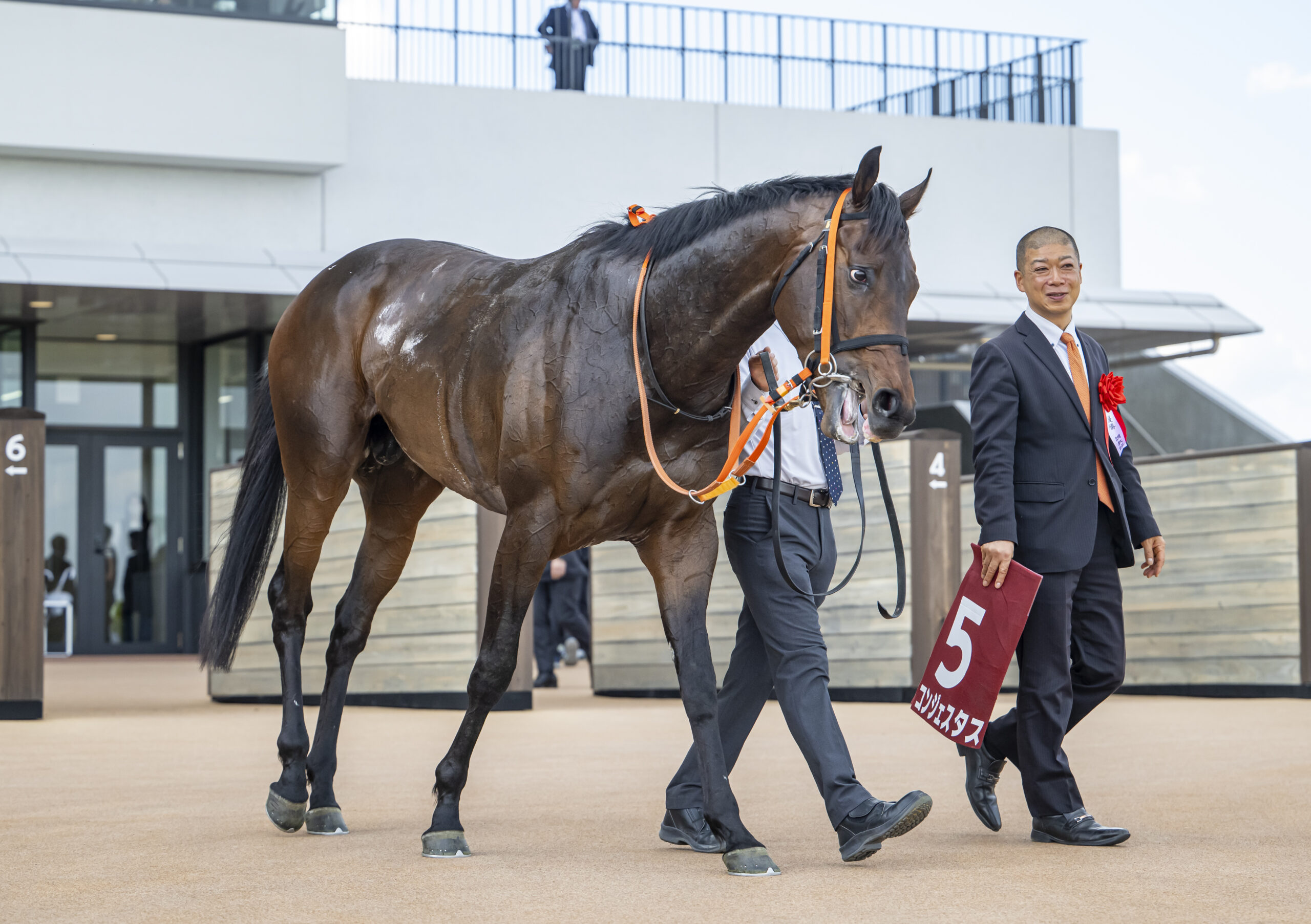 コンジェスタス第74回京都新聞杯(GⅡ)優勝！